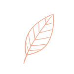 pink_leaf