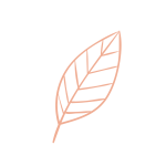 pink_leaf